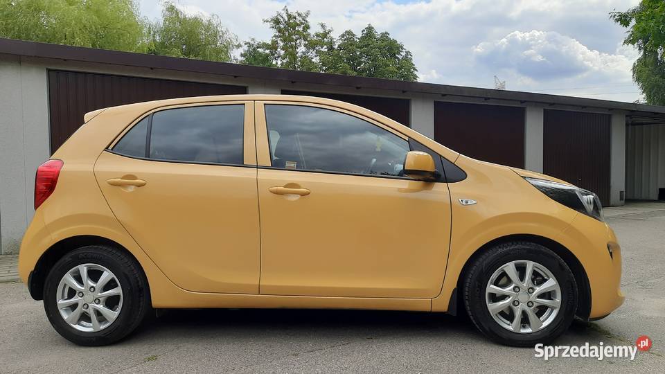Kia Picanto wersja L z 2023 z Polskiego salonu Picanto śląskie Bytom