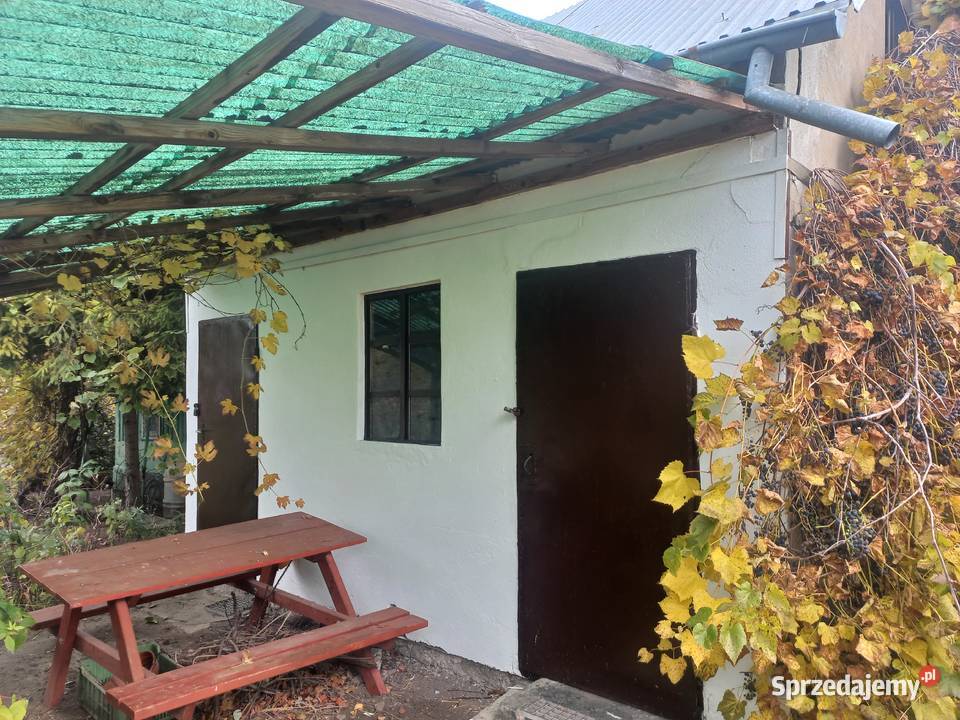 ogródek działkowy