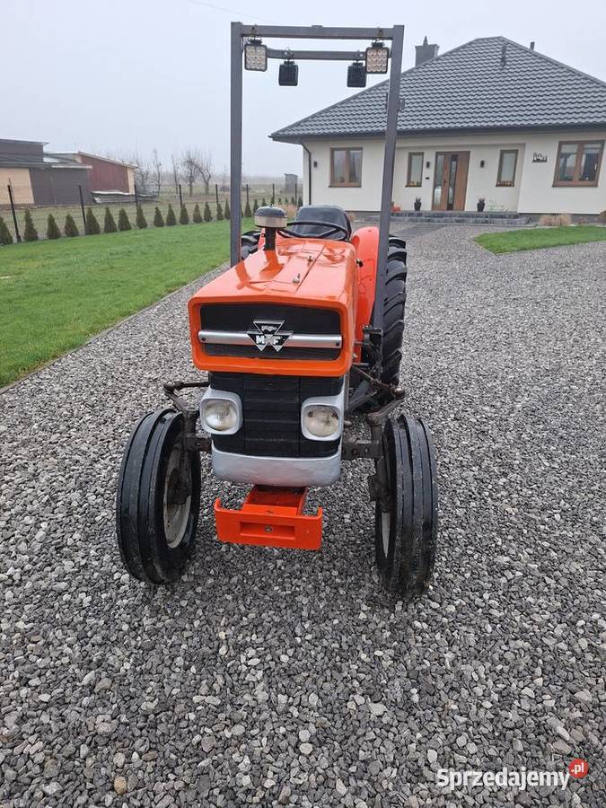 Massey Ferguson 140135235 sadowniczy mazowieckie Lipsko