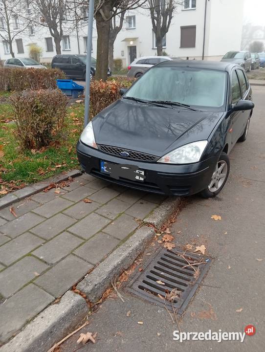 Ford focus zadbany Rybnik
