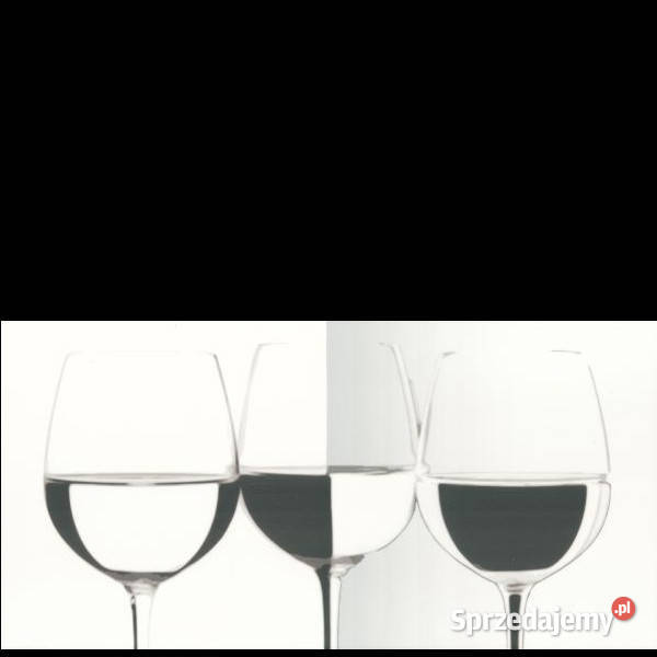 Vivida bianco Vine 30 x 60 Paradyż 30 x 60 Białogard