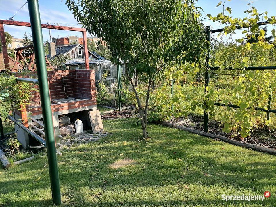 Działka ROD Fiołek sprzedam