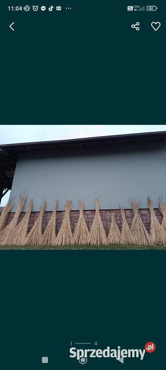 Wiklina korowanawiklina zielona podkarpackie Rudnik nad Sanem sprzedam