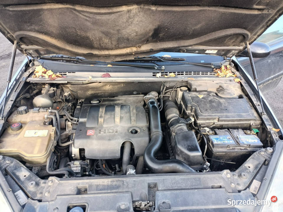 Citroen C5 Citroen C5 20 HDI 109 01r I 20012004 Tarnów
