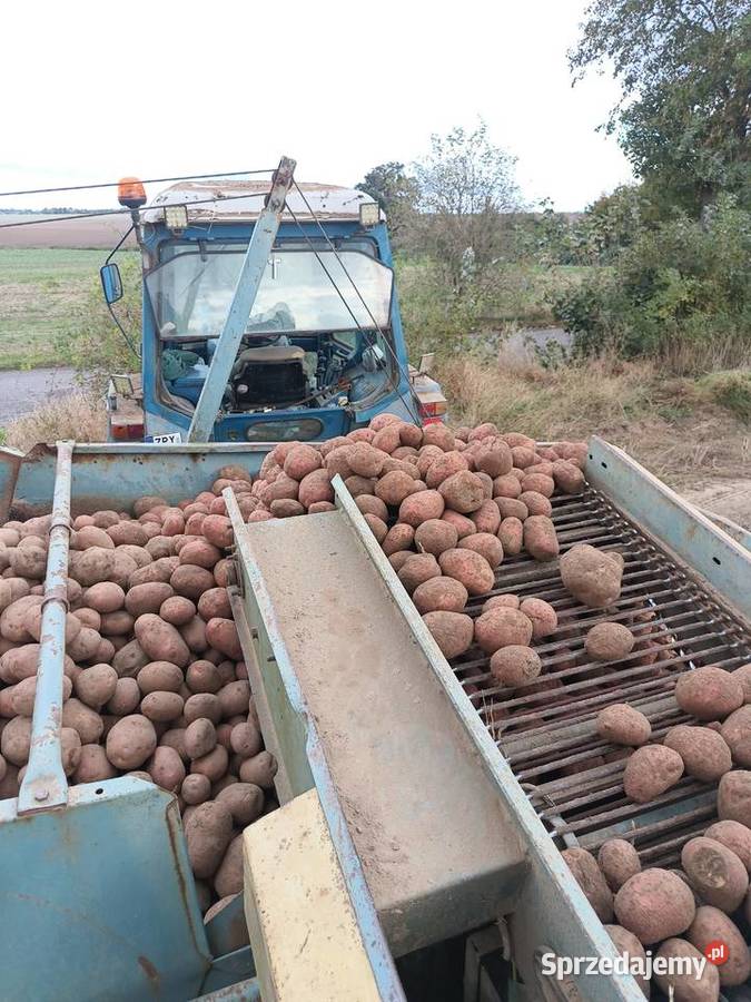 Kombajn do zbierania ziemniaków anna Barnim
