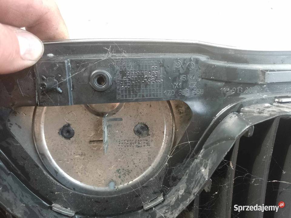 Gril Atrapa koda Ślesin