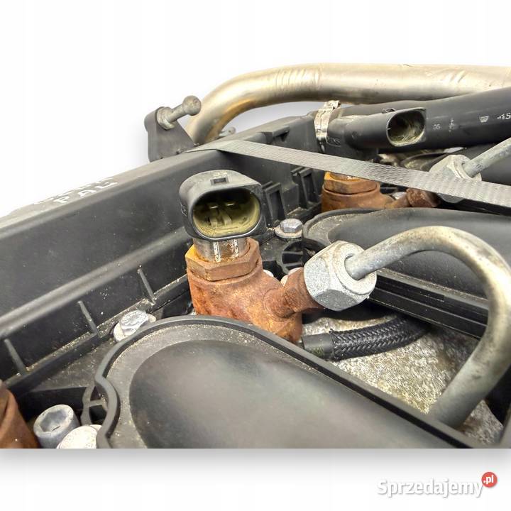 SILNIK G6DA Ford C C Focus MK2 20 TDCI 136 G6DB Chełm sprzedam
