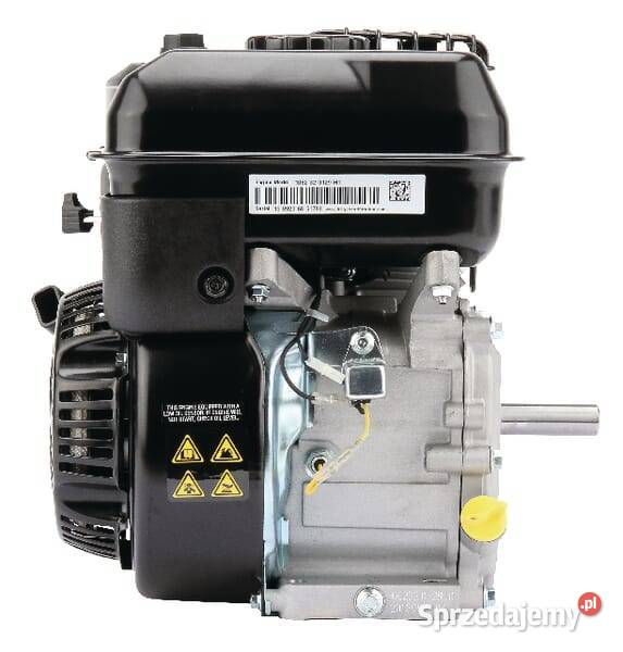 Silnik wał poziomy 1062320272F1 Kamionna