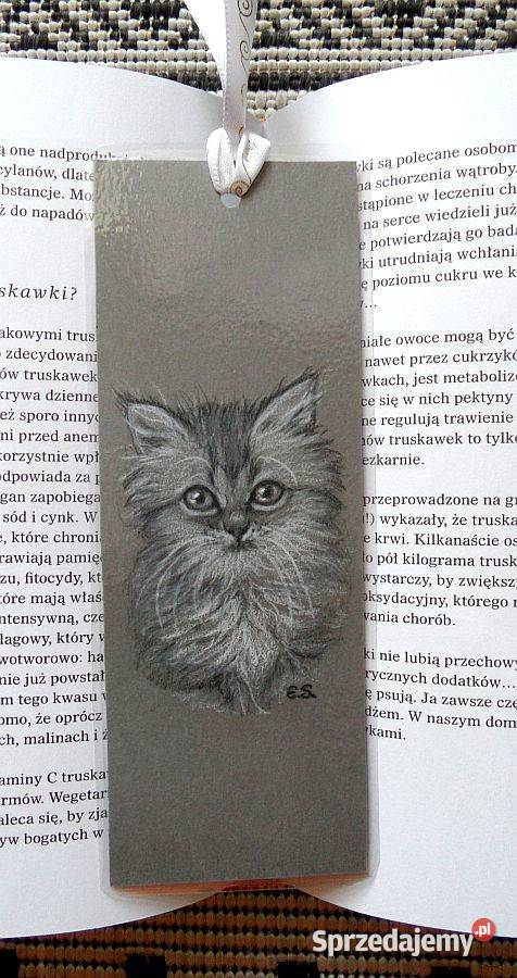 Zakładka do książki ręcznie rysowana Kotek Jelenia Góra