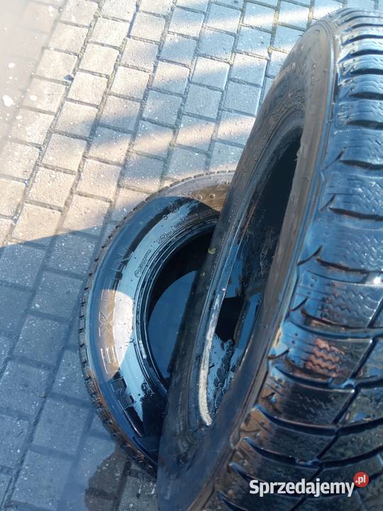 opony NEXEN NINGUARD 1956515 r 91 t zimowe 2022 195 śląskie Rybnik