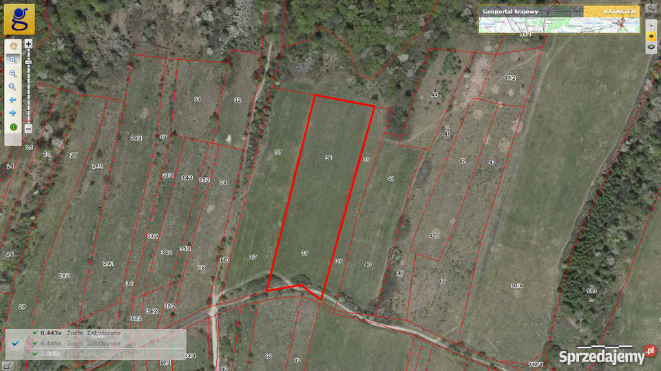 Sprzedam działkę niedaleko Arłamowa 5zł/m2 Kopysno