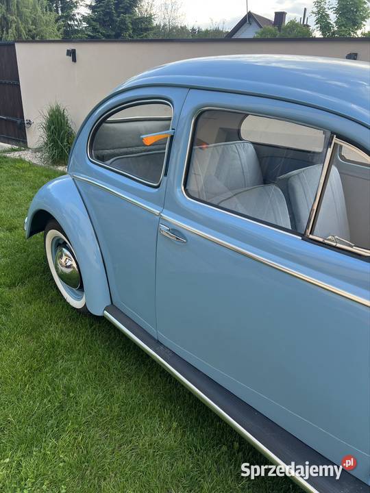 VW Garbus Oval 1954 Olesno