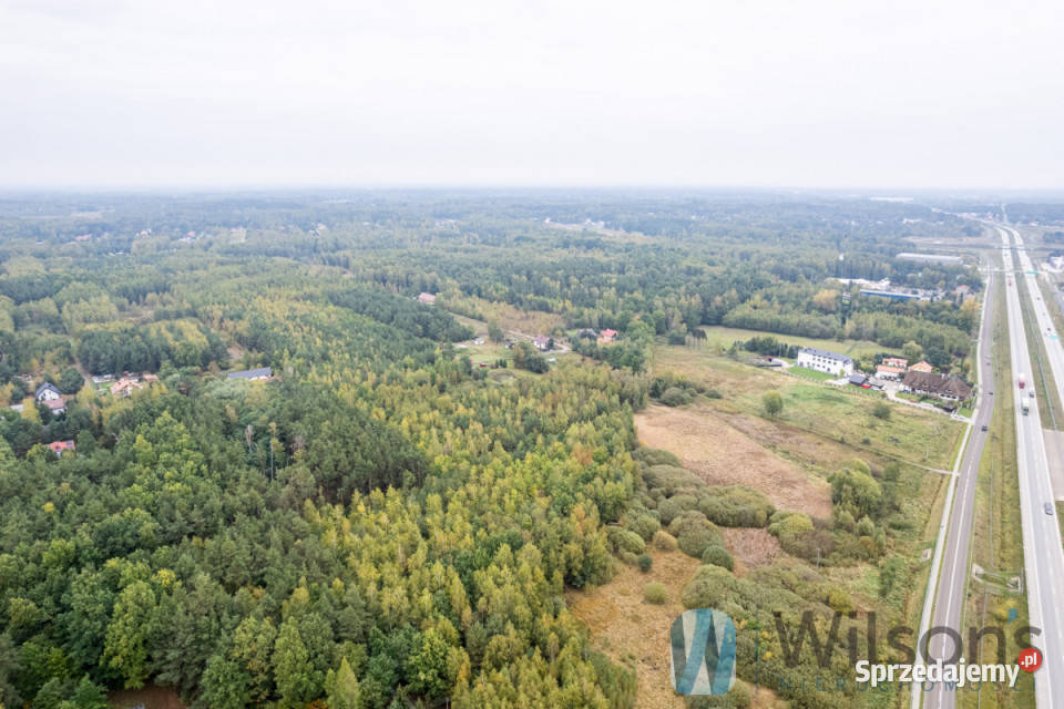 Grunt 133548m2 Nowa Bukówka Gajowa sprzedam