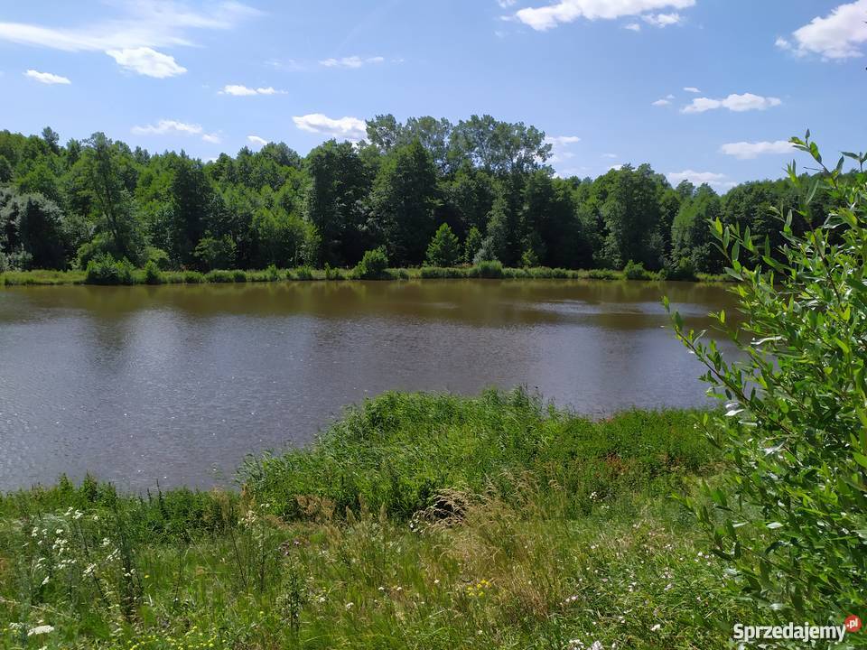 Duża działka ze stawem w okolicach Mławy mały mazowieckie Mława sprzedam
