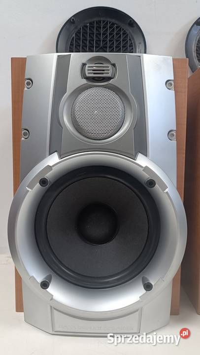 SAMSUNG L65E Kolumny audio z kablami i Poznań