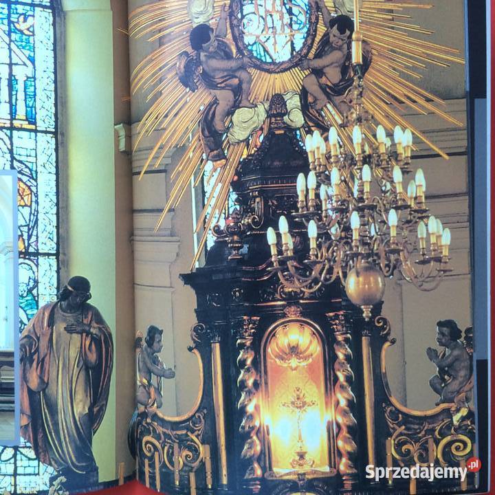 2585 Spacer Pile zachodniopomorskie Szczecin