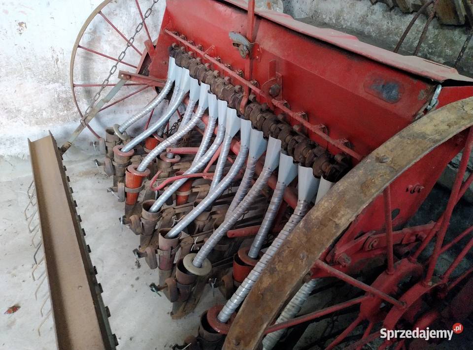 Siewnik Kaszub Sieradz