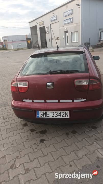 Seat leon Leon Iława