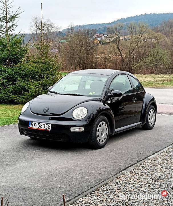 Volkswagen Beetle Sunflower podkarpackie Domaradz