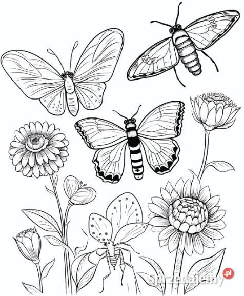 NAJWIĘKSZY zestaw kolorowanek BIBLIJNYCH dzieci Warszawa