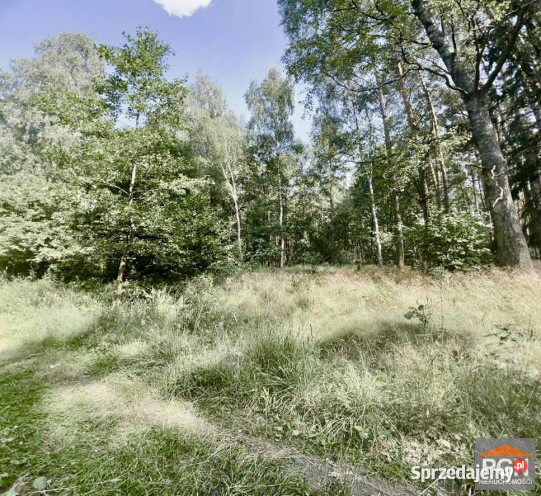 sprzedaży działki Pobierowo 11000m2 sprzedam