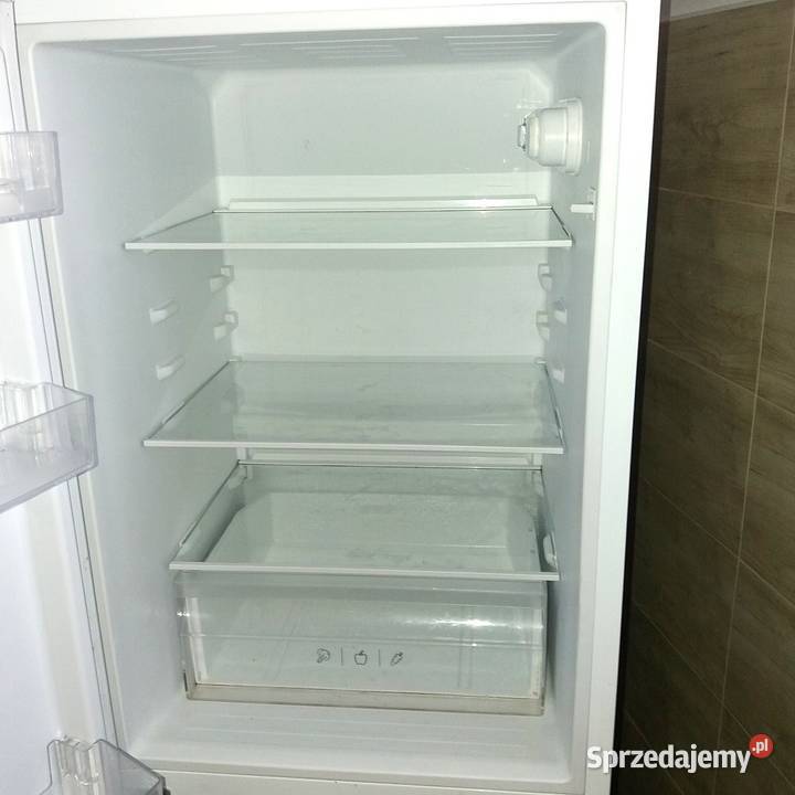 Bezszronowa chłodziarkozamrażarka Amica frost Ciechocinek