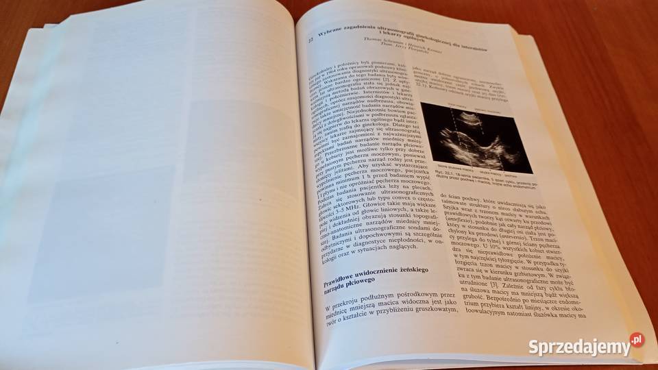 Diagnostyka ultrasonograficzna Kremer Dobrinski