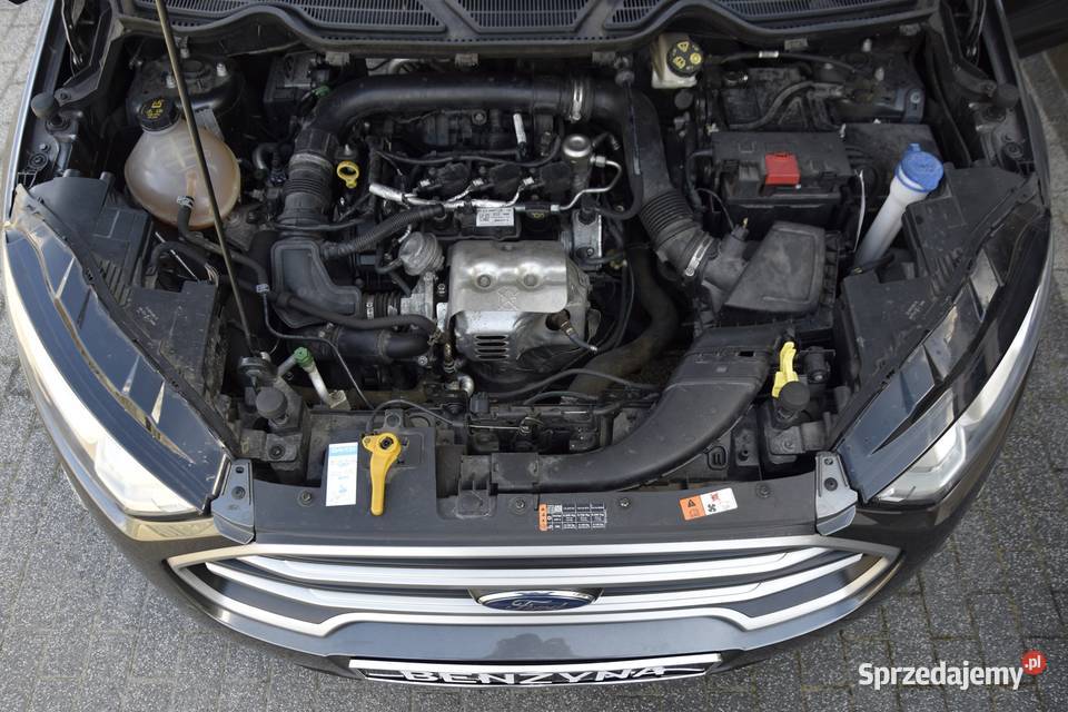 LIFTNavi Car Play Klimatronic AluTempomatPiękny centralny zamek EcoSport Starogard Gdański sprzedam