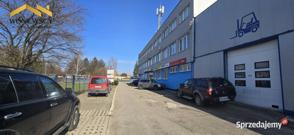 Hala Berlin 1274 m Elbląg S7 warmińsko-mazurskie