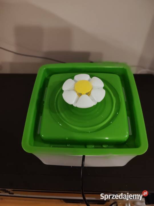 Poidło fontanna kotów