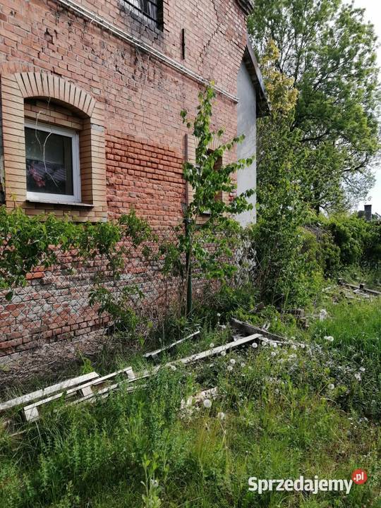 12 udziału w lokalu niemieszkalnym Syndyka Prabuty
