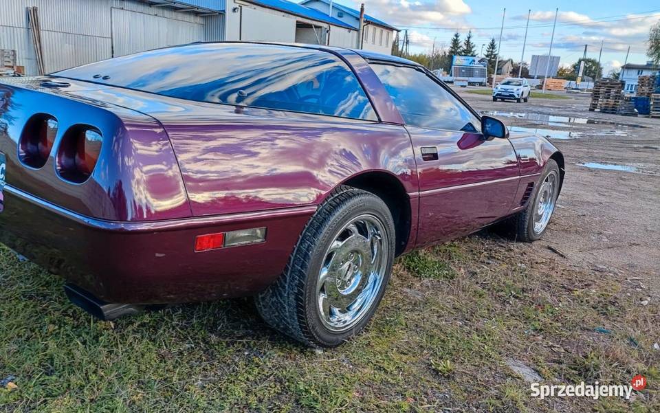 Piekna Coevette Kraczkowa