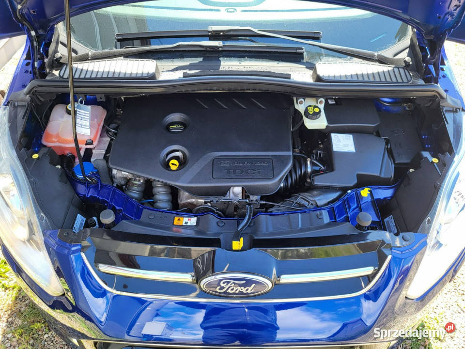 Ford C alusuper stanz Niemiec I 20032010 Dąbrowa