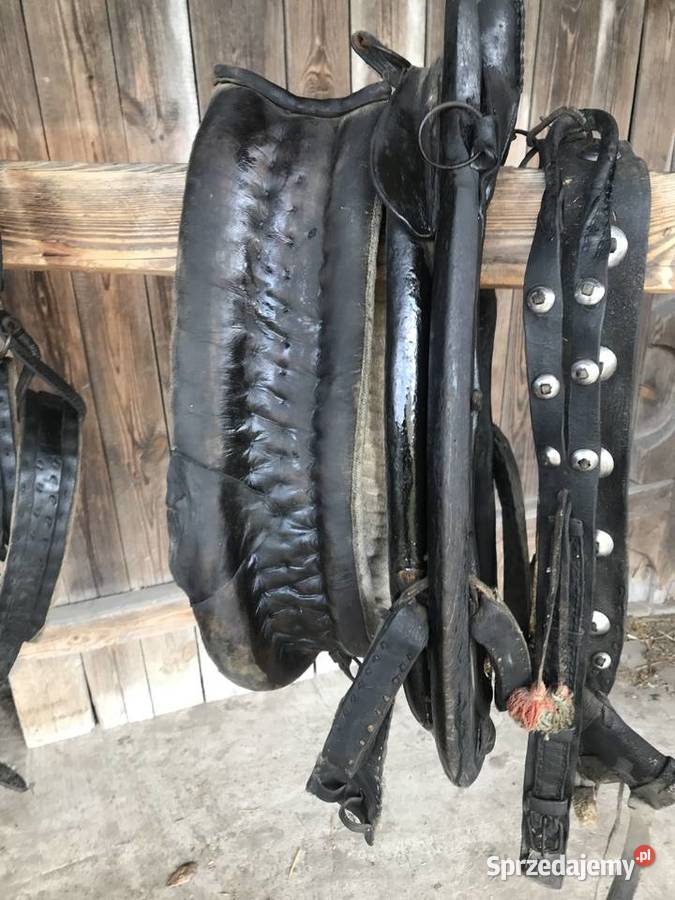 Chomąto i uprząż konia Wólka Bałtowska