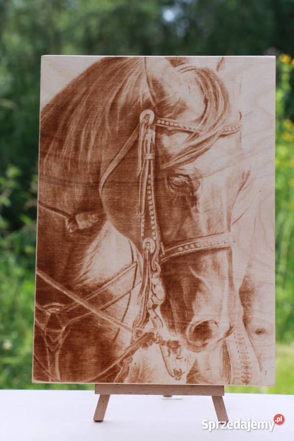 Głowa konia Grafika wypalona w drewnie Antyki, Sztuka, Kolekcje sprzedam