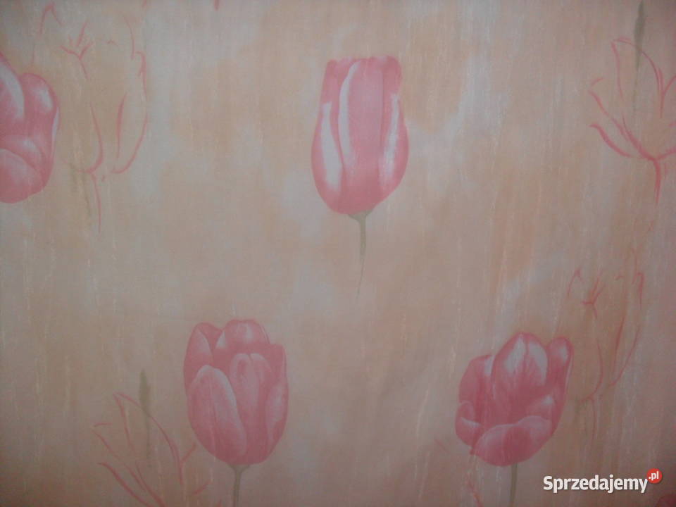 woal drukowanykolorowy 150 odcienie różowego dolnośląskie Wrocław