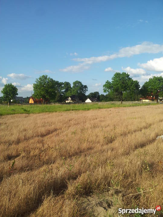 Działki budowlane w Witkowie koło Stargardu Witkowo Drugie