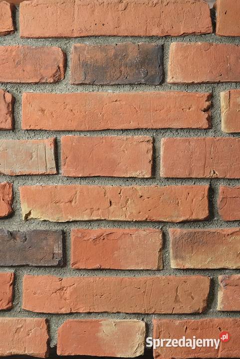 Płytki ceglane Młoda Polska