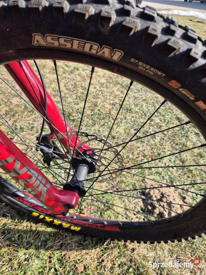 275 Dartmoor Blackbird 2024 Lyrik Ultimate FOX Szemud