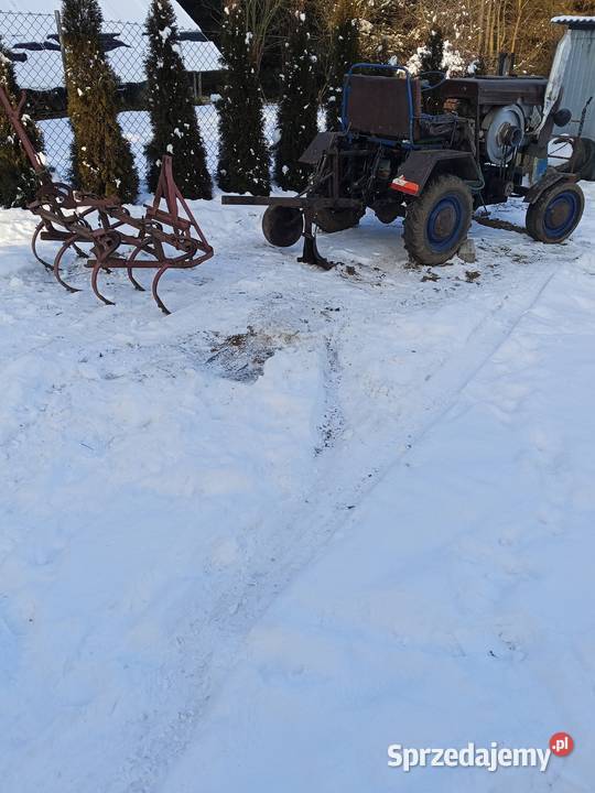 Sam esiok papaj Kocmyrzów