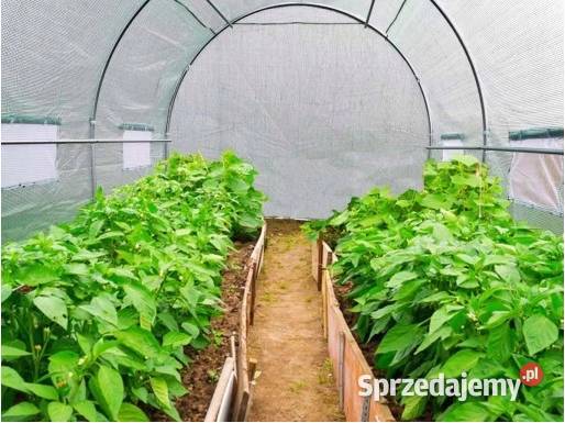 TUNEL foliowy OGRODOWY zielony UV4 3x2x2m 6m2 Kielce