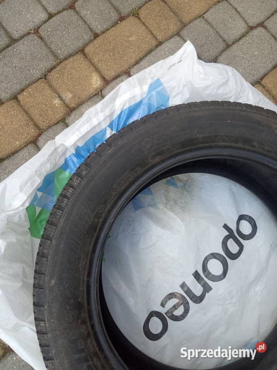 Opony Michelin 2155517 MS wielosezonowe 4 DOT 55 sprzedam