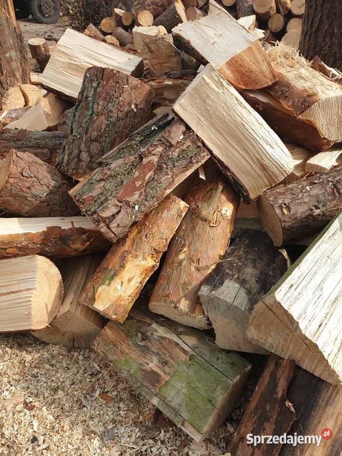 Drewno opałowe kominkowe kujawsko-pomorskie Rojewo