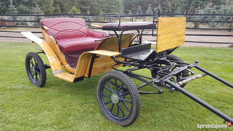 Bryczka konna Parkowiec Konie Turek