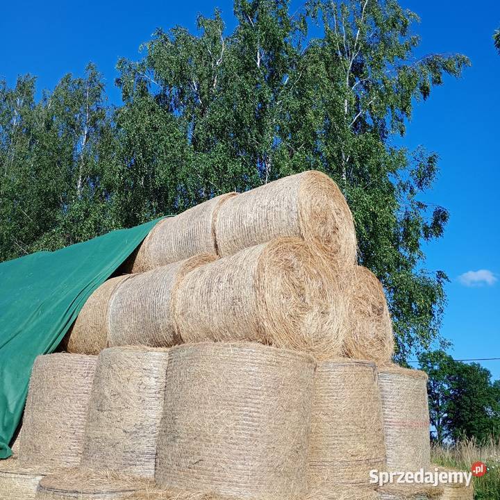 Sprzedam siano prasie McHale 135 Burszewo