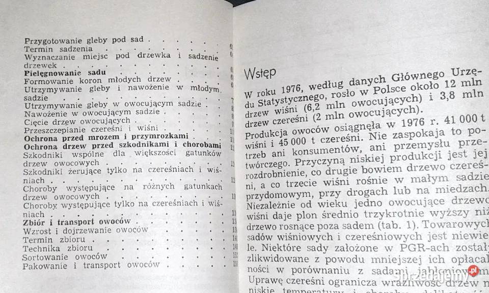 Czereśnie i wiśnie Jerzy Wierszyłłowski lubelskie Chełm