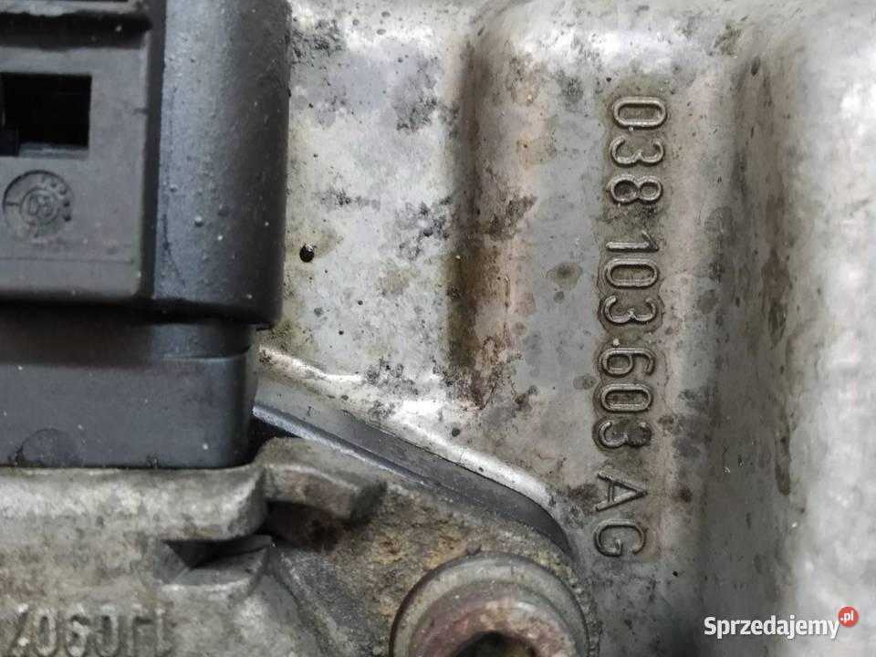 MISKA OLEJOWA 038103603AG 19 TDI VW Volkswagen Rok produkcji 2005 świętokrzyskie
