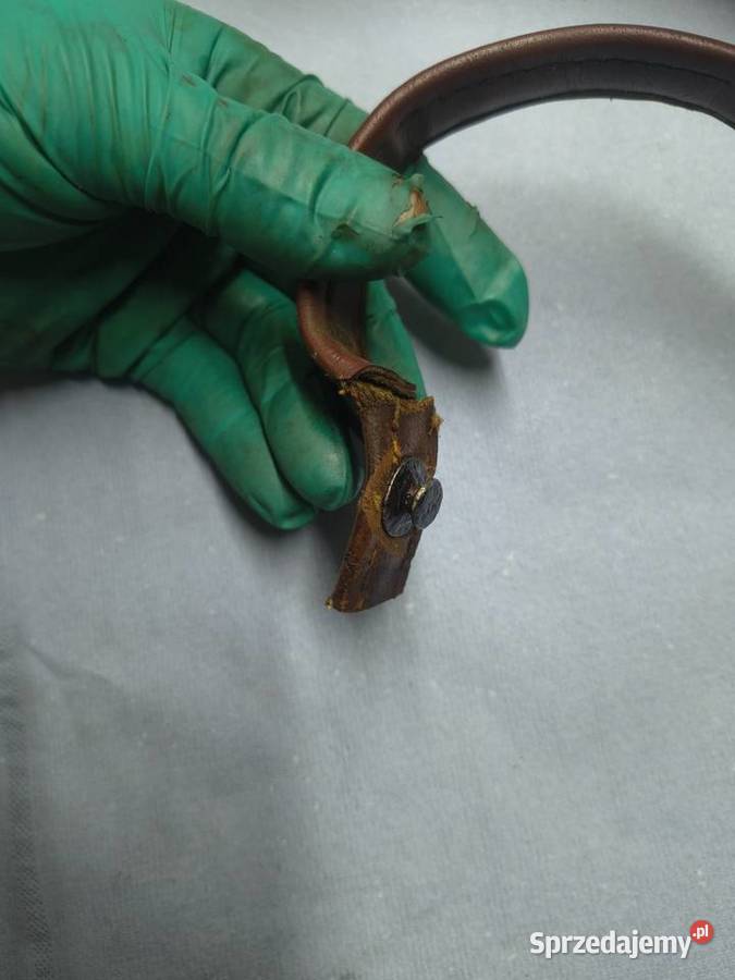 Pasek siedzenie jawa cz 175 250 350 Rzeszów