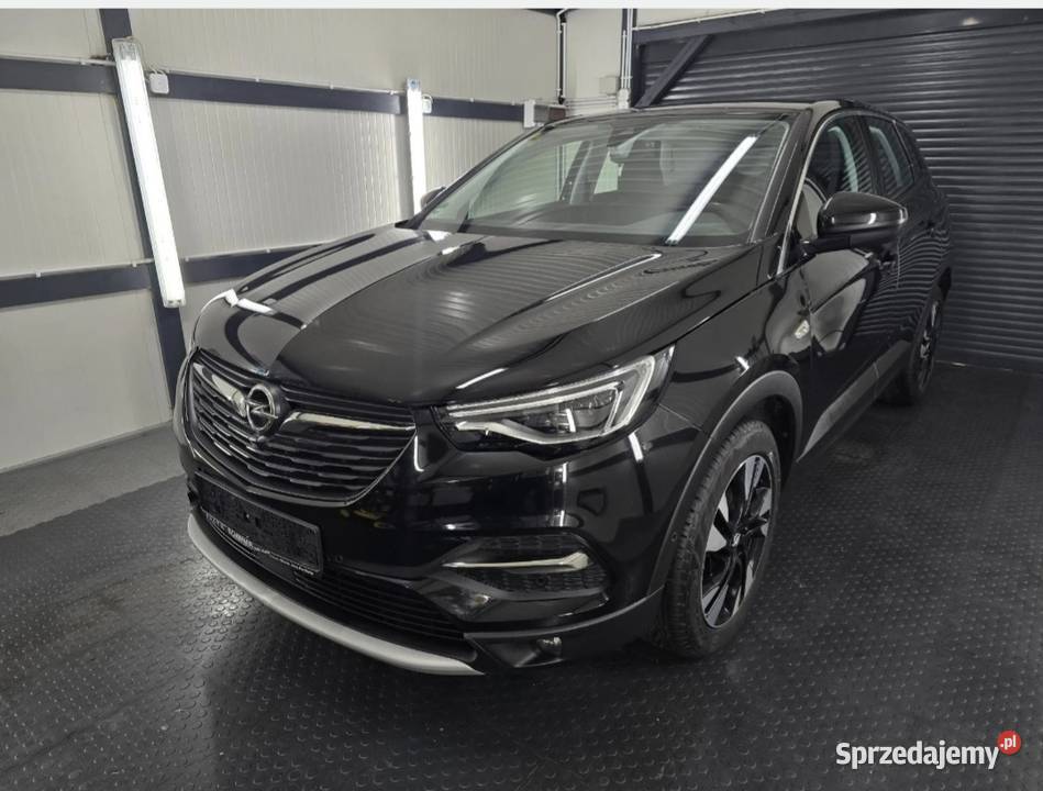 Opel Grandland X skóraradarkamery Piła