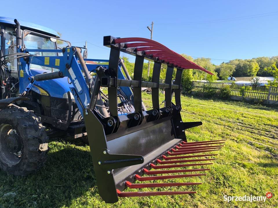 Krokodyl zęby kute ciężki euro Bilcza